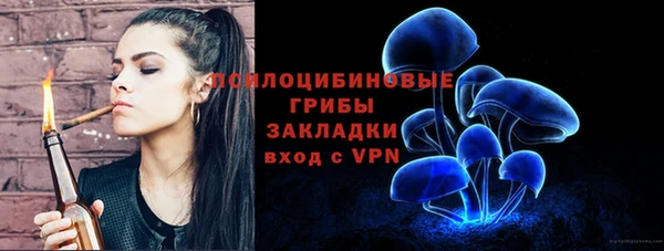гашик Алексин