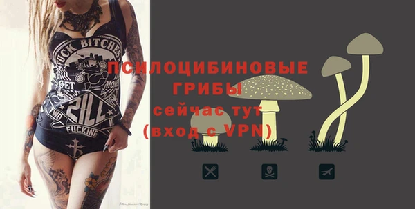 а пвп мука Алзамай