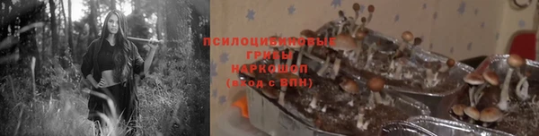 гашик Алексин