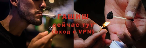 гашик Алексин