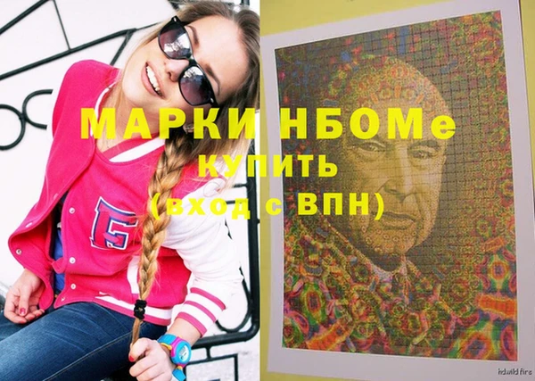 гашик Алексин