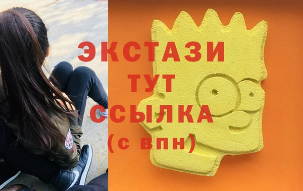 гашик Алексин