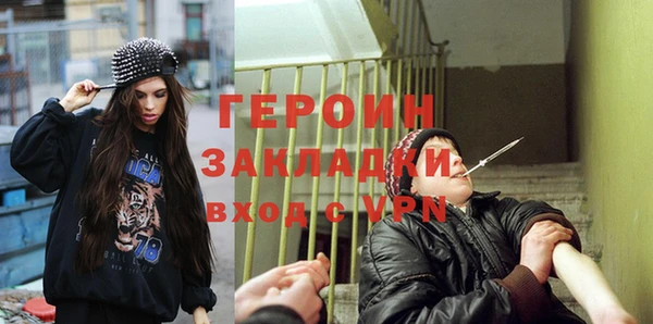 гашик Алексин