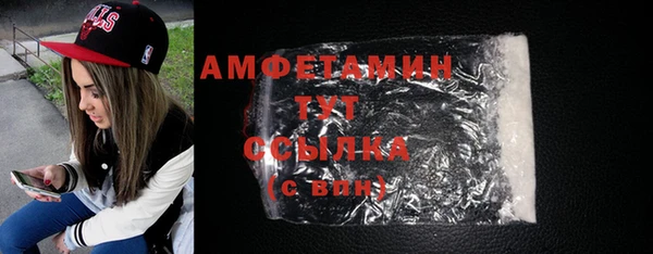 гашик Алексин