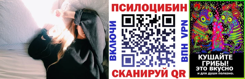 Галлюциногенные грибы Psilocybe  ОМГ ОМГ маркетплейс  Пучеж 