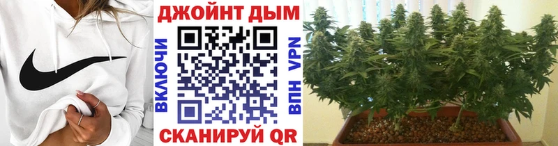 omg зеркало  Пучеж  Каннабис гибрид 